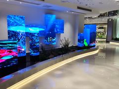 -芭菲盛宴·环球美食(北城国际店)