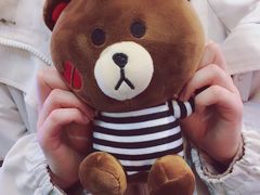 -PAWTOY爪e玩偶店(天兴罗斯福店)