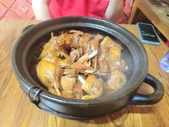 -百家春好德来姜母鸭