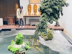 -觀芷隐轩