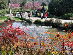 -中国茶叶博物馆(双峰馆区)