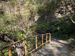 -北京上方山国家森林公园