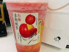 超大桶多肉桃李-喜茶(北京华贸购物中心店)