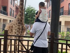 -灵玲国际马戏城