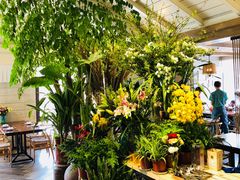 -春暖花开(西溪店)