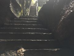 -梦幻奥陶纪景区