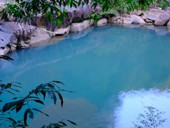 -广州白江湖森林公园