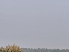 -西青郊野公园