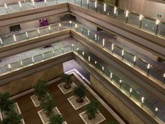 -南京禄口机场雅高铂尔曼大酒店