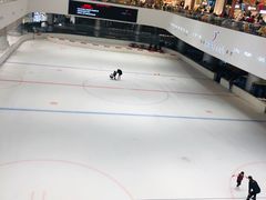 -TheRink大零溜冰场(IFS国金中心店)