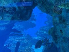 -海合安成都极地海洋公园