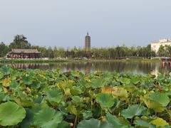 -西海子公园