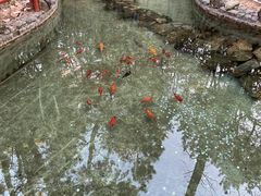 -红螺寺
