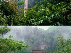 -碧峰峡风景区