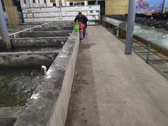 -阔澜蒸汽海鲜自助