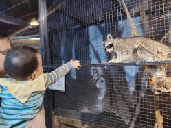 -酷嗒动物文化乐园(cutezoo西溪乐天城店)