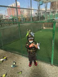 -萌宠亲子动物乐园(槐房万达店)