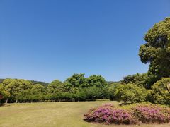 -宝界山林公园