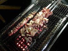 -崇明东平国家森林公园烧烤房车露营地