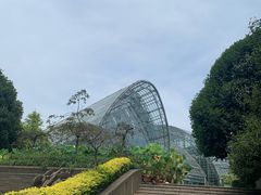 -南山植物园