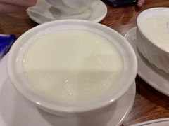 姜汁撞奶-正德顺順德雙皮奶(中信店)