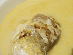 黄鱼云吞锅-金龙·打边炉(武进路店)
