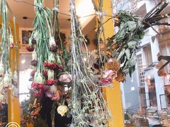 -知物癖(牛王庙店)