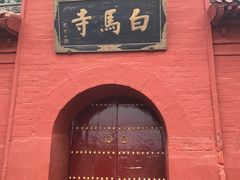 -洛阳白马寺