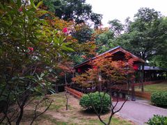 -金山公园