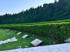 -上海市龙华烈士陵园