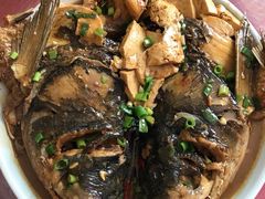 胖头鱼炖豆腐-香圆鱼味酒家