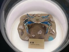 -陕西自然博物馆