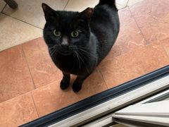 -潮界(LU·ONE凯德晶萃广场店)