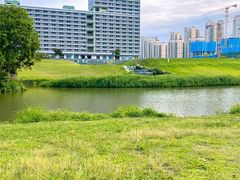 -坪山湿地公园
