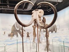 -辽宁古生物博物馆