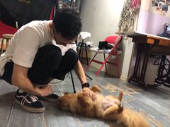 -A+摄影
