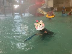 -南宫温泉水世界