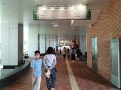 -香港大学