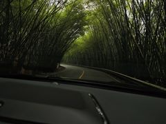 -沐川竹海旅游景区