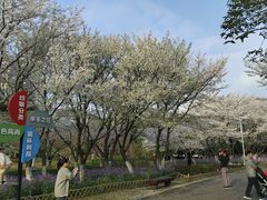 -白塘生态植物园