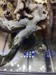 -酷嗒动物文化乐园(cutezoo西溪乐天城店)