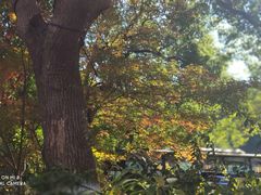 -吴山景区