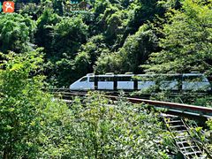 -溪口-滕头旅游景区