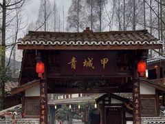 -青城甲(青城山店)