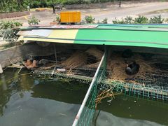 -八景休閒山莊  廣東十大名山莊