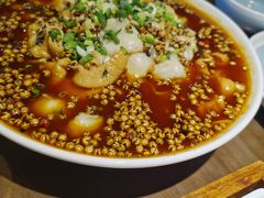 -向川南·水煮鱼·川菜(和平里店)