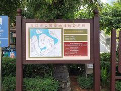 -万绿园