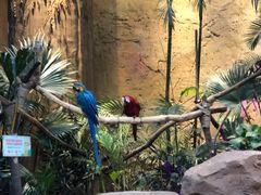 -杭州开元森泊度假乐园