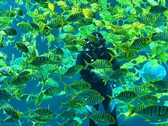 -太平洋海底世界