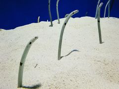 -上海海洋水族馆